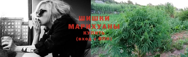 ешки Семилуки
