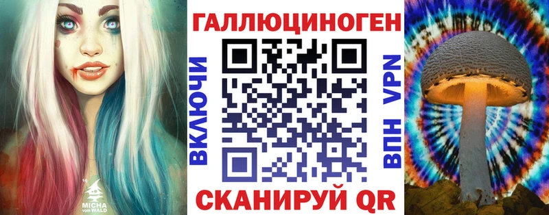 Галлюциногенные грибы Psilocybe  omg маркетплейс  Шебекино  закладка 