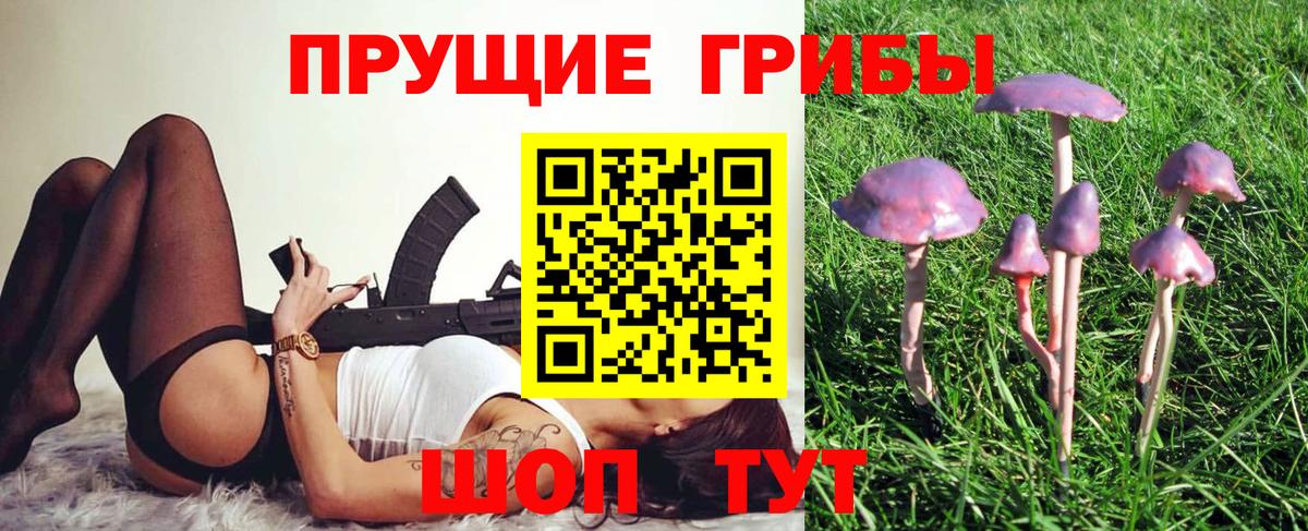 купить закладку  Вход с VPN  Шебекино  Галлюциногенные грибы мухоморы 