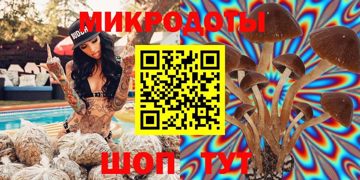 Псилоцибиновые грибы Cubensis Шебекино
