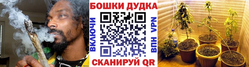Бошки марихуана семена  Шебекино 